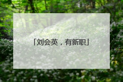 刘会英，有新职