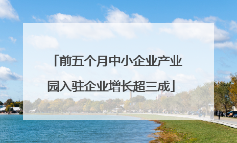 前五个月中小企业产业园入驻企业增长超三成