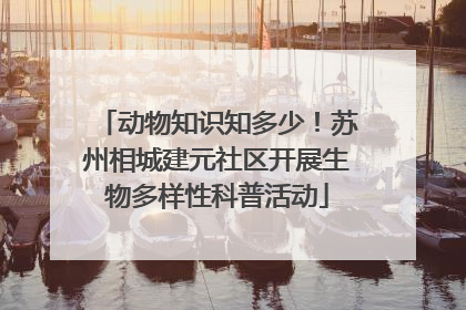 动物知识知多少！苏州相城建元社区开展生物多样性科普活动