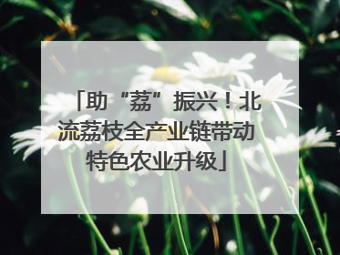 助“荔”振兴！北流荔枝全产业链带动特色农业升级