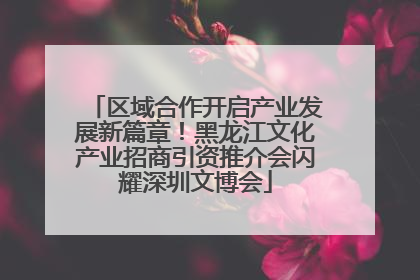 区域合作开启产业发展新篇章！黑龙江文化产业招商引资推介会闪耀深圳文博会