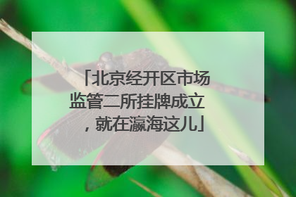 北京经开区市场监管二所挂牌成立，就在瀛海这儿