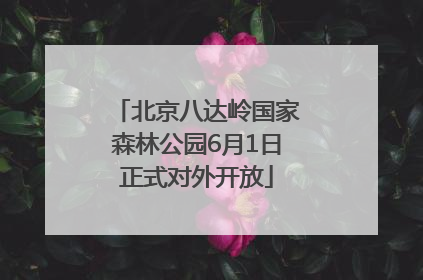 北京八达岭国家森林公园6月1日正式对外开放