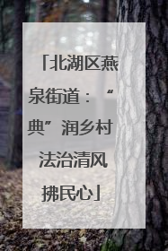 北湖区燕泉街道：“典”润乡村 法治清风拂民心