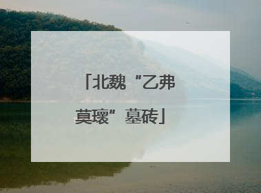 北魏“乙弗莫瓌”墓砖