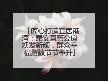 匠心打造宜居港湾：泰安直管公房焕发新颜，群众幸福指数节节攀升