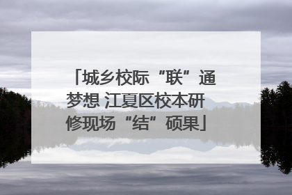 城乡校际“联”通梦想 江夏区校本研修现场“结”硕果