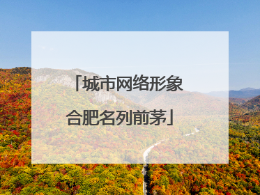 城市网络形象合肥名列前茅