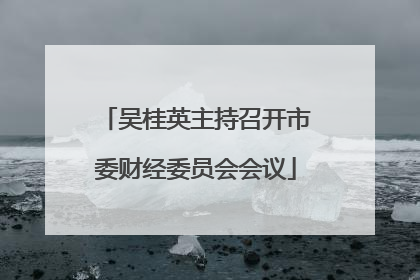 吴桂英主持召开市委财经委员会会议