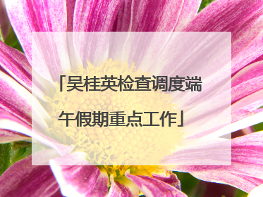 吴桂英检查调度端午假期重点工作