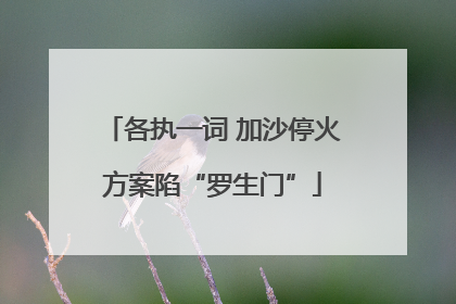 各执一词 加沙停火方案陷“罗生门”