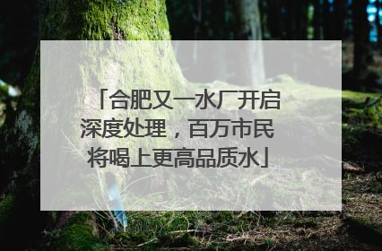合肥又一水厂开启深度处理，百万市民将喝上更高品质水