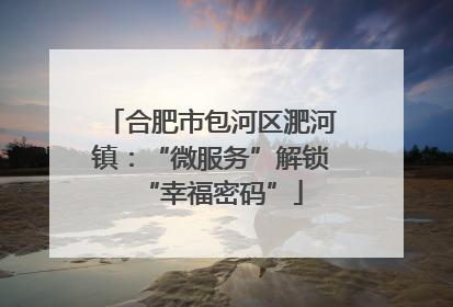 合肥市包河区淝河镇：“微服务”解锁“幸福密码”