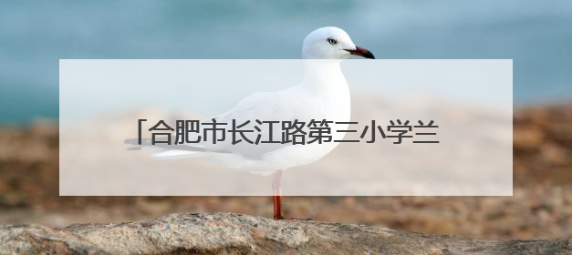 合肥市长江路第三小学兰亭分校：督学入校“把脉”师德师风与规范办学