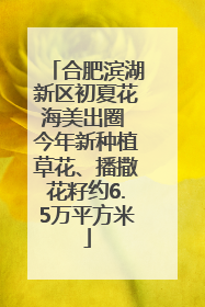 合肥滨湖新区初夏花海美出圈 今年新种植草花、播撒花籽约6.5万平方米