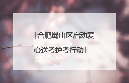 合肥蜀山区启动爱心送考护考行动
