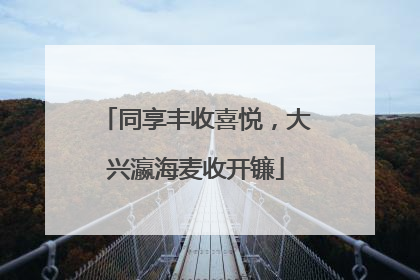 同享丰收喜悦，大兴瀛海麦收开镰