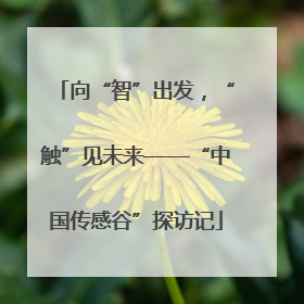 向“智”出发，“触”见未来——“中国传感谷”探访记