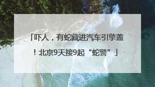 吓人，有蛇藏进汽车引擎盖！北京9天接9起“蛇警”