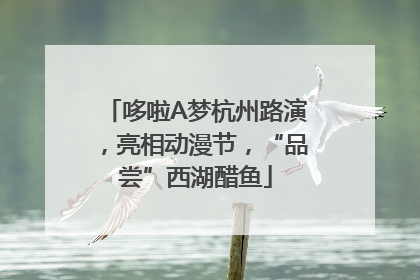 哆啦A梦杭州路演，亮相动漫节，“品尝”西湖醋鱼
