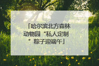 哈尔滨北方森林动物园“私人定制”粽子迎端午