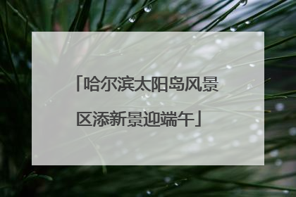 哈尔滨太阳岛风景区添新景迎端午