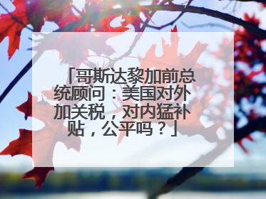 哥斯达黎加前总统顾问：美国对外加关税，对内猛补贴，公平吗？