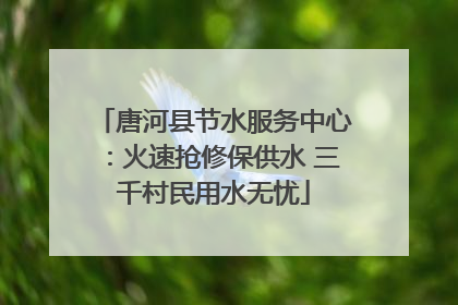 唐河县节水服务中心：火速抢修保供水 三千村民用水无忧