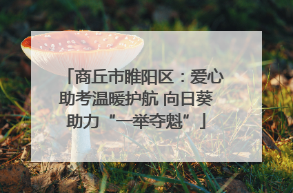 商丘市睢阳区：爱心助考温暖护航 向日葵助力“一举夺魁”