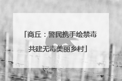 商丘：警民携手绘禁毒 共建无毒美丽乡村