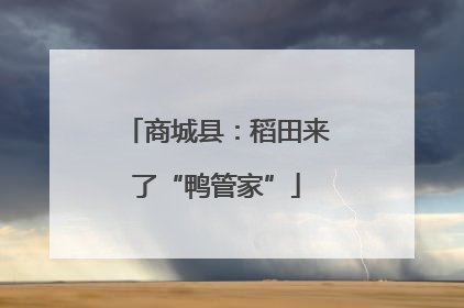 商城县：稻田来了“鸭管家”