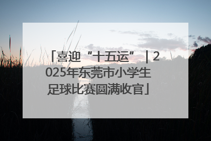 喜迎“十五运”｜2025年东莞市小学生足球比赛圆满收官