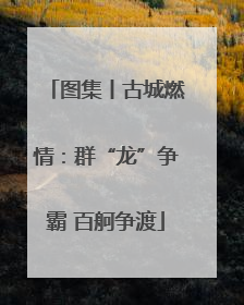 图集丨古城燃情：群“龙”争霸 百舸争渡