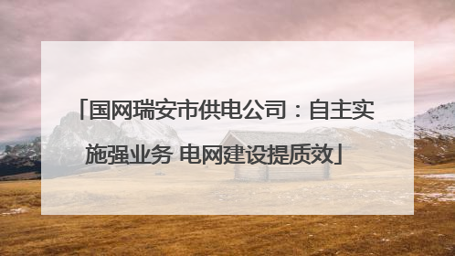 国网瑞安市供电公司：自主实施强业务 电网建设提质效