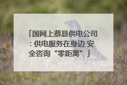国网上蔡县供电公司：供电服务在身边 安全咨询“零距离”