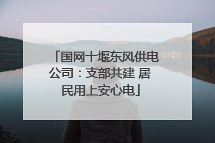 国网十堰东风供电公司：支部共建 居民用上安心电