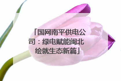 国网南平供电公司：绿电赋能闽北 绘就生态新篇