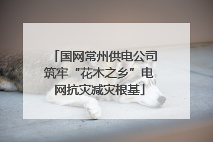 国网常州供电公司筑牢“花木之乡”电网抗灾减灾根基