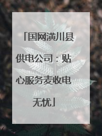 国网潢川县供电公司：贴心服务麦收电无忧