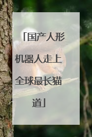 国产人形机器人走上全球最长猫道