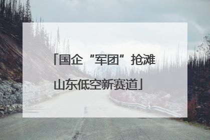 国企“军团”抢滩山东低空新赛道