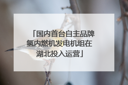国内首台自主品牌氢内燃机发电机组在湖北投入运营