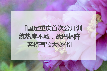 国足重庆首次公开训练热度不减，战巴林阵容将有较大变化