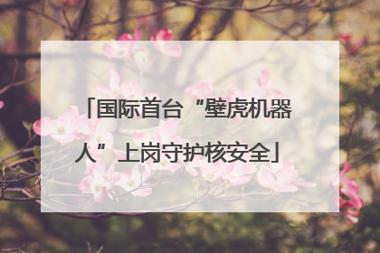国际首台“壁虎机器人”上岗守护核安全