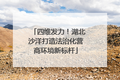 四维发力！湖北沙洋打造法治化营商环境新标杆