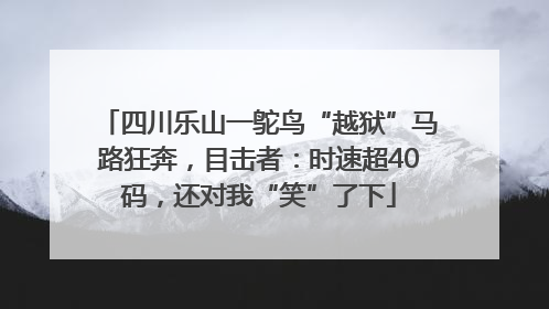 四川乐山一鸵鸟“越狱”马路狂奔，目击者：时速超40码，还对我“笑”了下