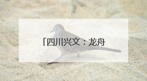 四川兴文：龙舟竞渡庆端午 多彩活动过佳节