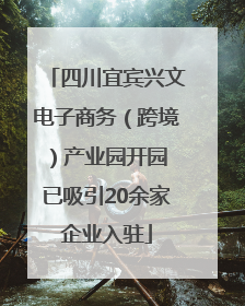 四川宜宾兴文电子商务（跨境）产业园开园 已吸引20余家企业入驻