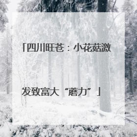 四川旺苍：小花菇激发致富大“蘑力”