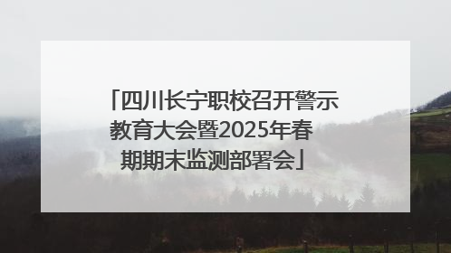 四川长宁职校召开警示教育大会暨2025年春期期末监测部署会